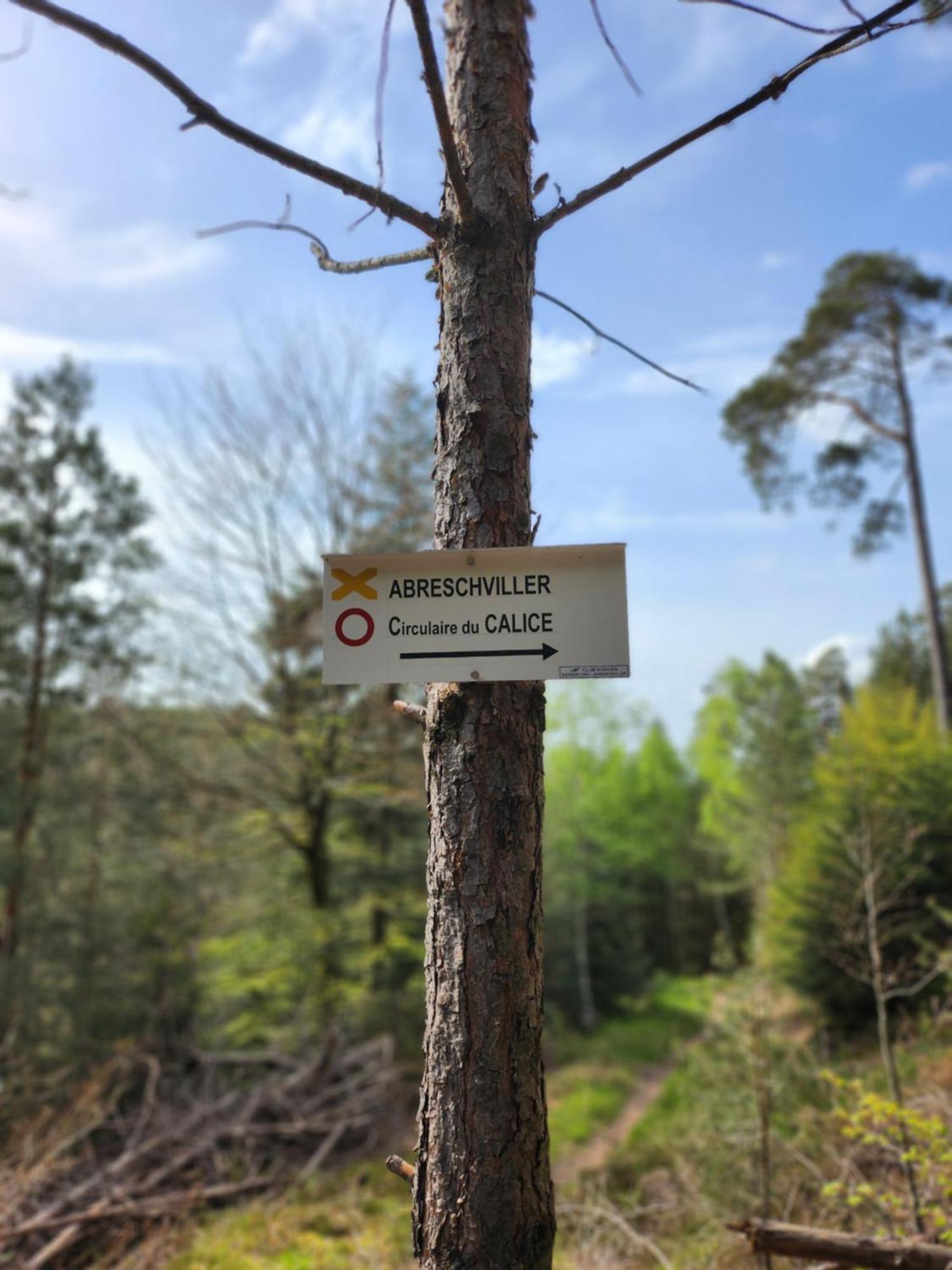 Le Nid Du Calice Villa Abreschviller Kültér fotó